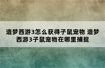 造梦西游3怎么获得子鼠宠物 造梦西游3子鼠宠物在哪里捕捉